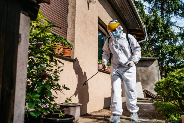 Reliable Burbank, IL Pest Control Solutions